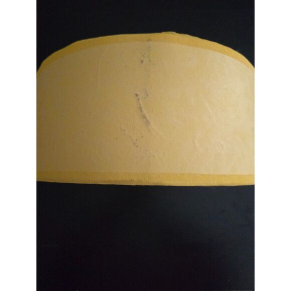 BABY LOONEY TUNES Vintage 2000 Tweety Bird Rice Paper Night Light-Tested/Works - Picture 7 of 13